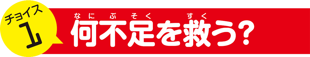 チョイス１　何不足を救う？